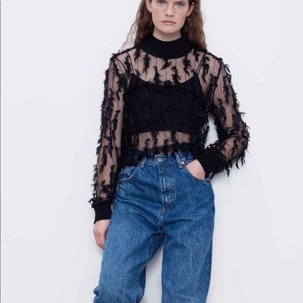 Zara feathers effect sheer top